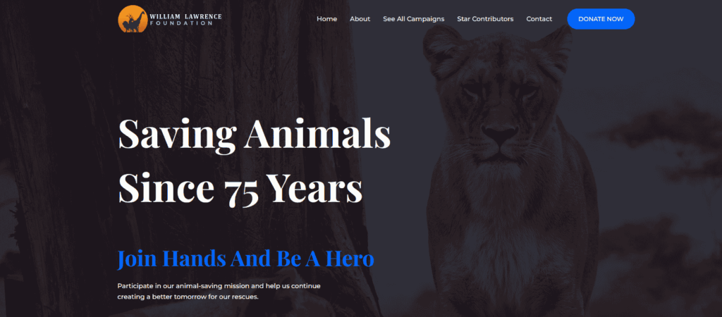 Websites By Stan-Template-Services